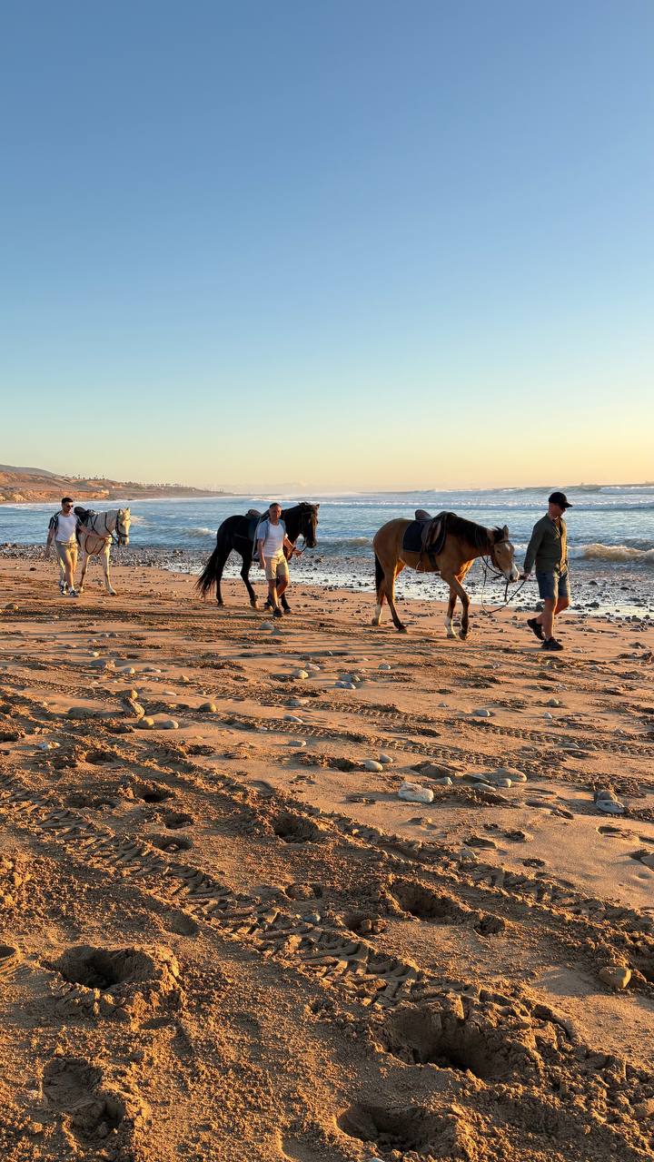 Horse riding on the Atlantic coast near Agadir Morocco