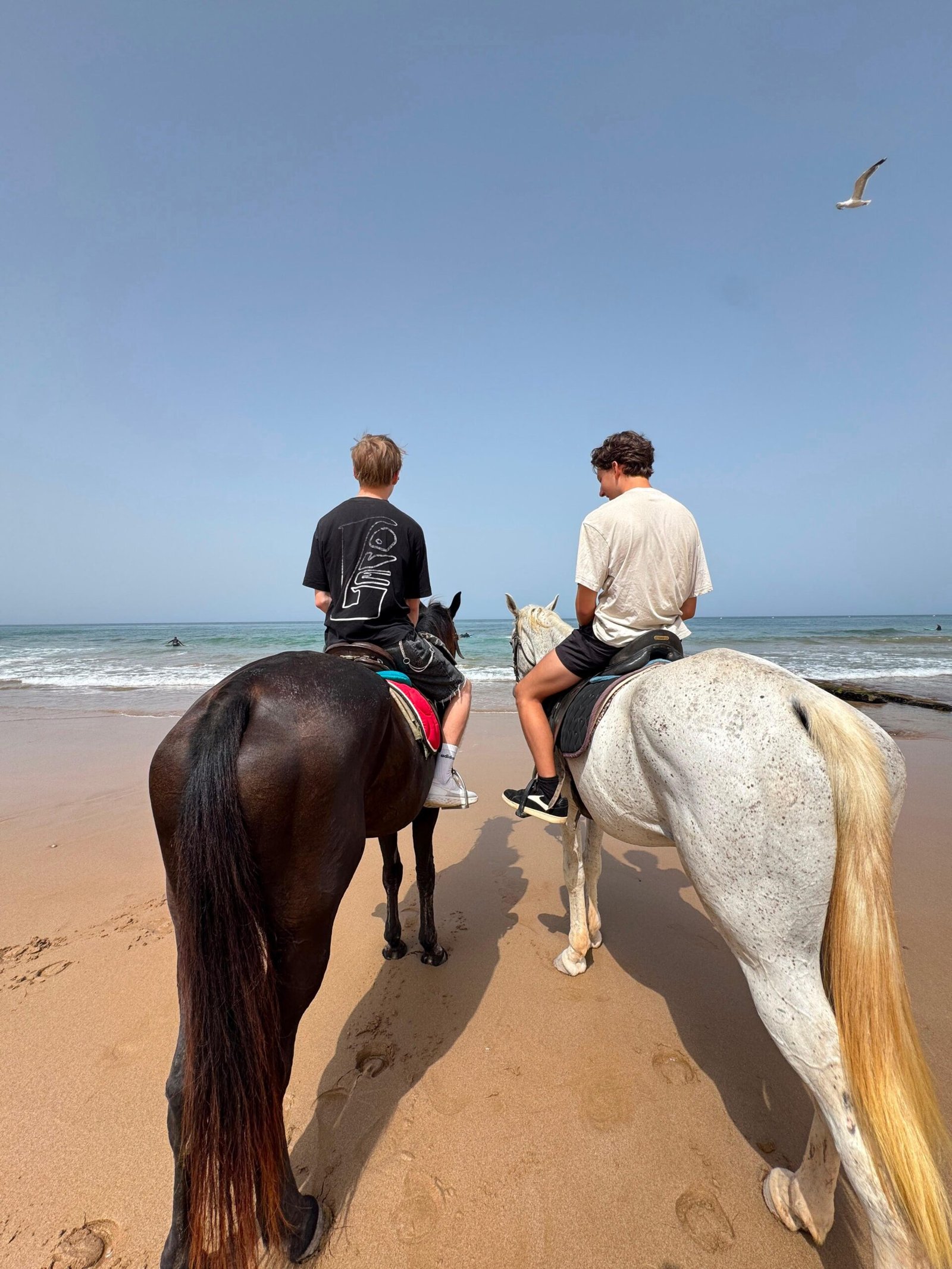 2-hour horse riding on the beach near Agadir — two riders heading down an empty stretch of Banana Beach, Aourir
