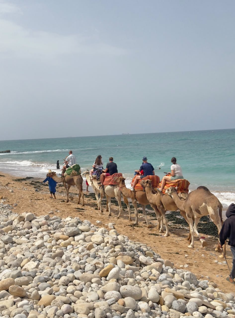 Camel ride near Taghazout — riders following the shoreline on the pebble-and-sand beach between Taghazout and Agadir