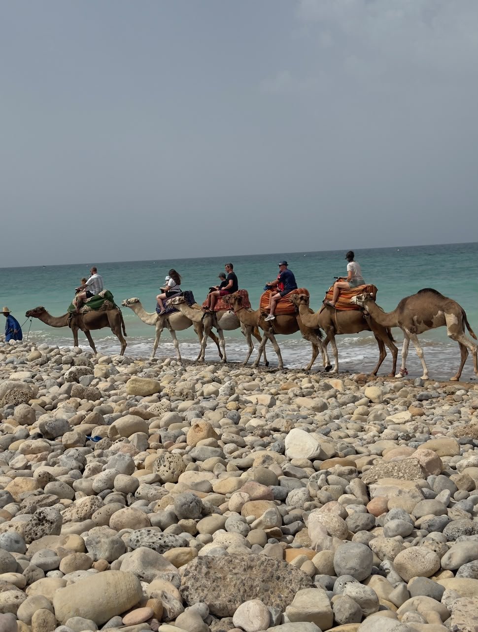 Camel riding Agadir Morocco — a line of camels and riders beside the turquoise Atlantic at Banana Beach