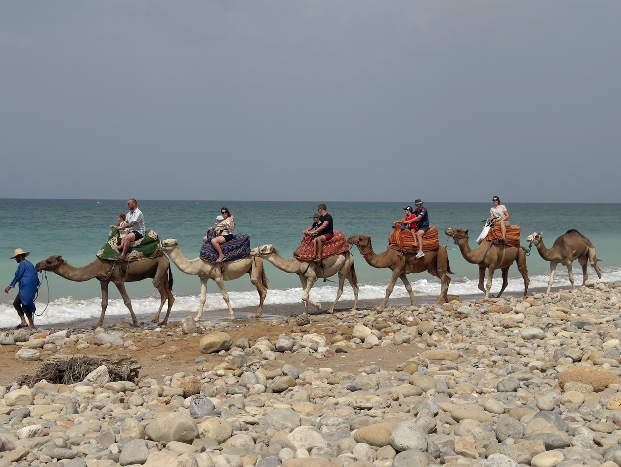 Agadir camel ride — our guide on foot leading a line of camels along the shoreline at Banana Beach
