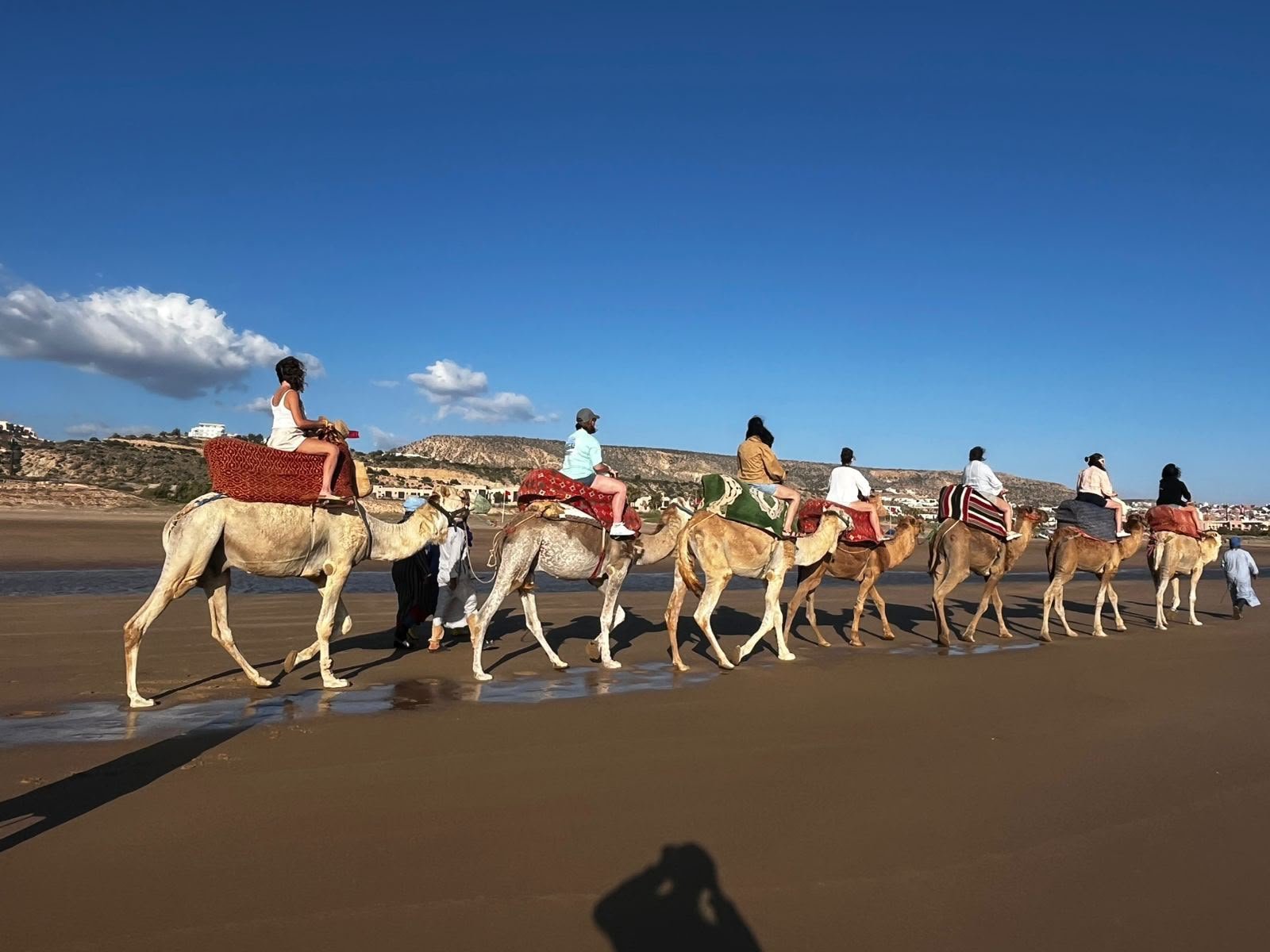 Camel ride in Agadir — a caravan of camels and riders on the wet sand at Banana Beach, Aourir