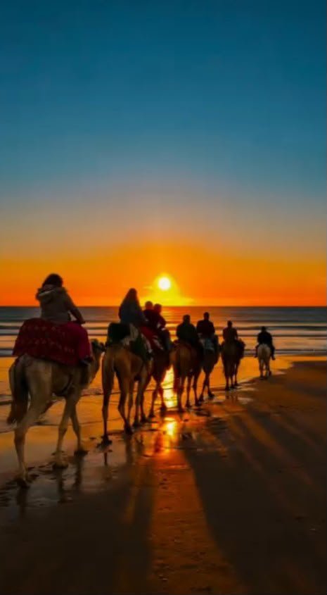 Sunset camel ride Agadir — a line of riders on Ranch Banana camels heading towards the setting sun along Banana Beach