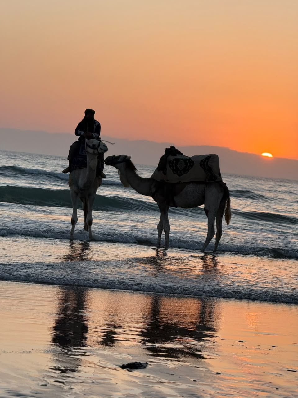 Sunset camel ride on the beach near Agadir — two camels at the waterline as the sun drops into the Atlantic