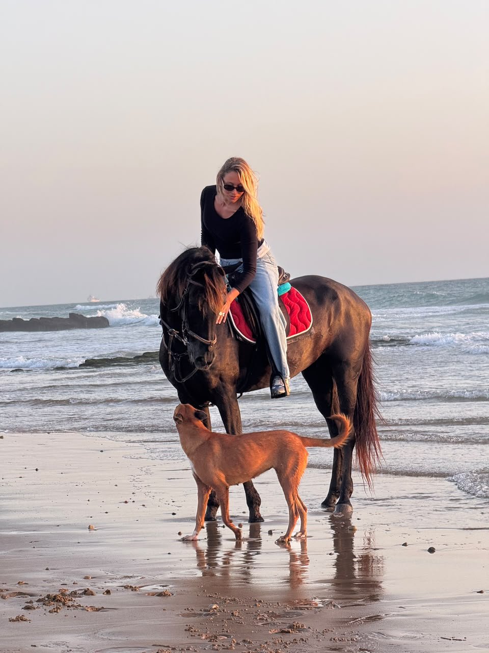 Beach horse riding near Agadir and Taghazout — Ranch Banana riders at Aourir