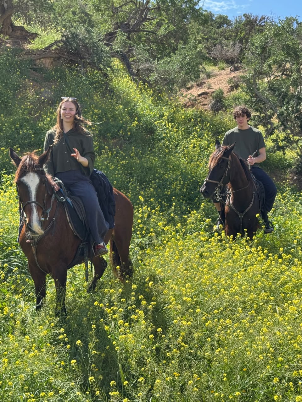Horseback riding Agadir — a guided ride on Banana Beach between Agadir and Taghazout